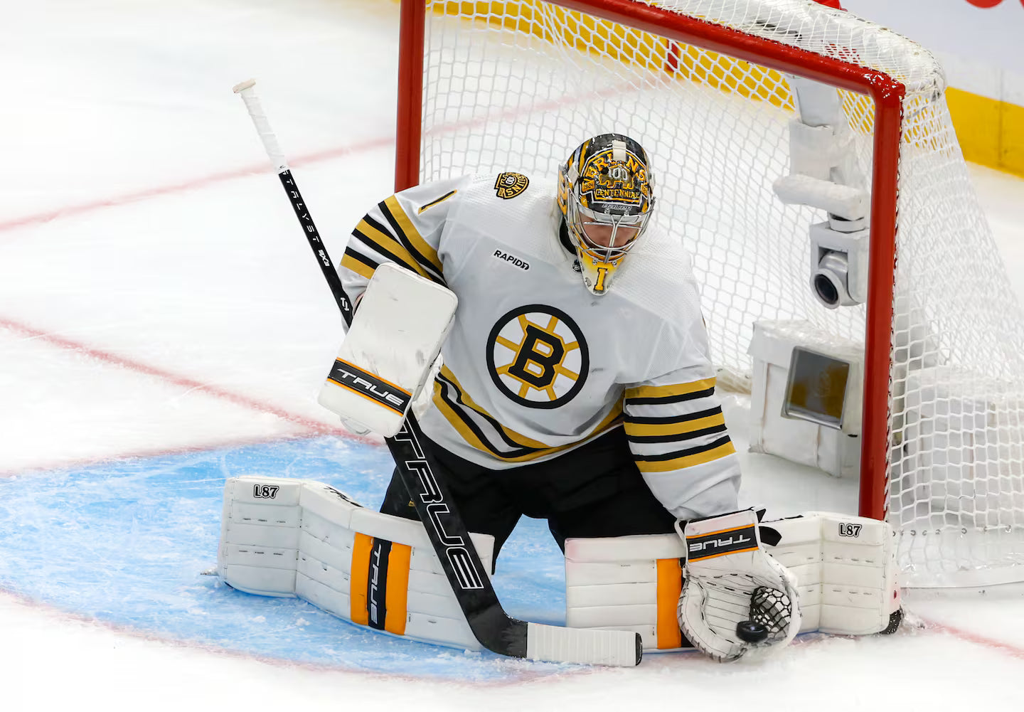 Goalie Sticks