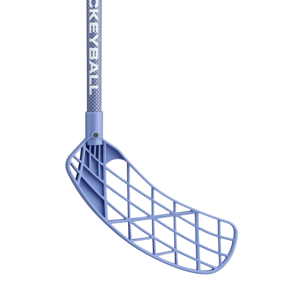 Hockey Ball Training Sticks