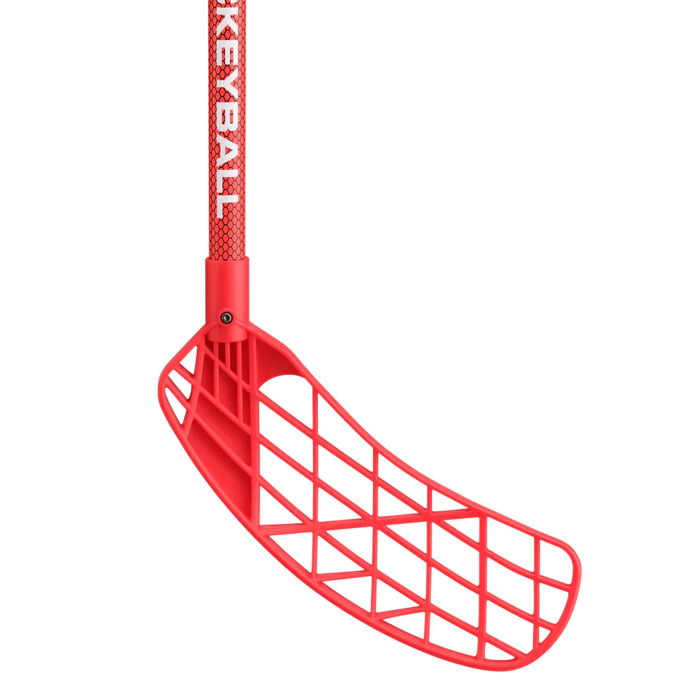 Hockey Ball Training Sticks