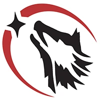 Hockeywolf Team Programs